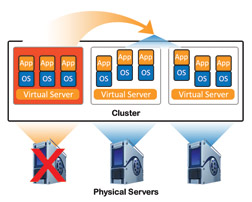 Network Replication